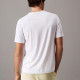 Calvin Klein Ανδρική κοντομάνικη μπλούζα Graphic Logo T-shirt